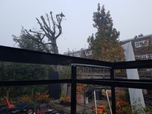 terras op het water, Steiger, poort, bloembak, bloembakken, plantenbak, plantenbak van staal, bloembak van staal, plantenbak op maat, bloembak op maat, bloembak cortenstaal, plantenbak cortenstaal, lamp, buitenlamp, lamp staal, lamp cortenstaal. Tuinscherm op maat, tuinschermen op maat, tuinscherm cortenstaal, tuinscherm staal, poorten van staal, poort op maat, voordeur portaal, overkapping van staal, tuinbank van staal en hout, tuintafel staal en hout. Cortenstaal tuinartikelen, Stalen tuinartikelen, tuin op maat.bordes staal, bordes cortenstaal, windscherm, staal op maat, cortenstaal op maat. Tuinverlichting, tuinverlichting op maathoreca, terras, fietsenstalling van staal, cortenstaal, Fietsenstalling, Fietsenstalling van staal met hout, Siebendesign