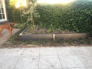 Steiger, poort, bloembak, bloembakken, plantenbak, plantenbak van staal, bloembak van staal, plantenbak op maat, bloembak op maat, bloembak cortenstaal, plantenbak cortenstaal, lamp, buitenlamp, lamp staal, lamp cortenstaal. Tuinscherm op maat, tuinschermen op maat, tuinscherm cortenstaal, tuinscherm staal, poorten van staal, poort op maat, voordeur portaal, overkapping van staal, tuinbank van staal en hout, tuintafel staal en hout. Cortenstaal tuinartikelen, Stalen tuinartikelen, tuin op maat.bordes staal, bordes cortenstaal, windscherm, staal op maat, cortenstaal op maat. Tuinverlichting, tuinverlichting op maathoreca, terras, fietsenstalling van staal, cortenstaal, balkon, houthok, houtopslag