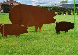 Varkens uit cortenstaal, dieren uit staal, stalen dieren, tuin aankleding van staal by Siebendesign.nl Plantenbakken van staal, houtopslag, stalen poort, tuinkunst, verlichting van staal. cortenstaal boerderijdieren, varkenhouderij, varken, pigs steel pig, scharrelvarkens