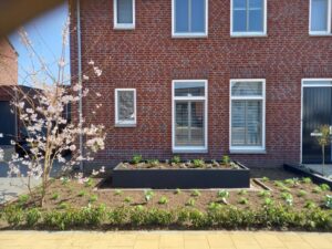 Bloembak, Op Maat, Plantenbak, Stalen Bloembak, Tuin, tuinaanleg, maatwerk staal, plantenbak, moderne tuin