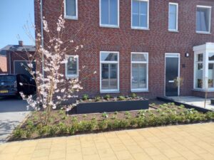 Bloembak, Op Maat, Plantenbak, Stalen Bloembak, Tuin, tuinaanleg, maatwerk staal, plantenbak, moderne tuin